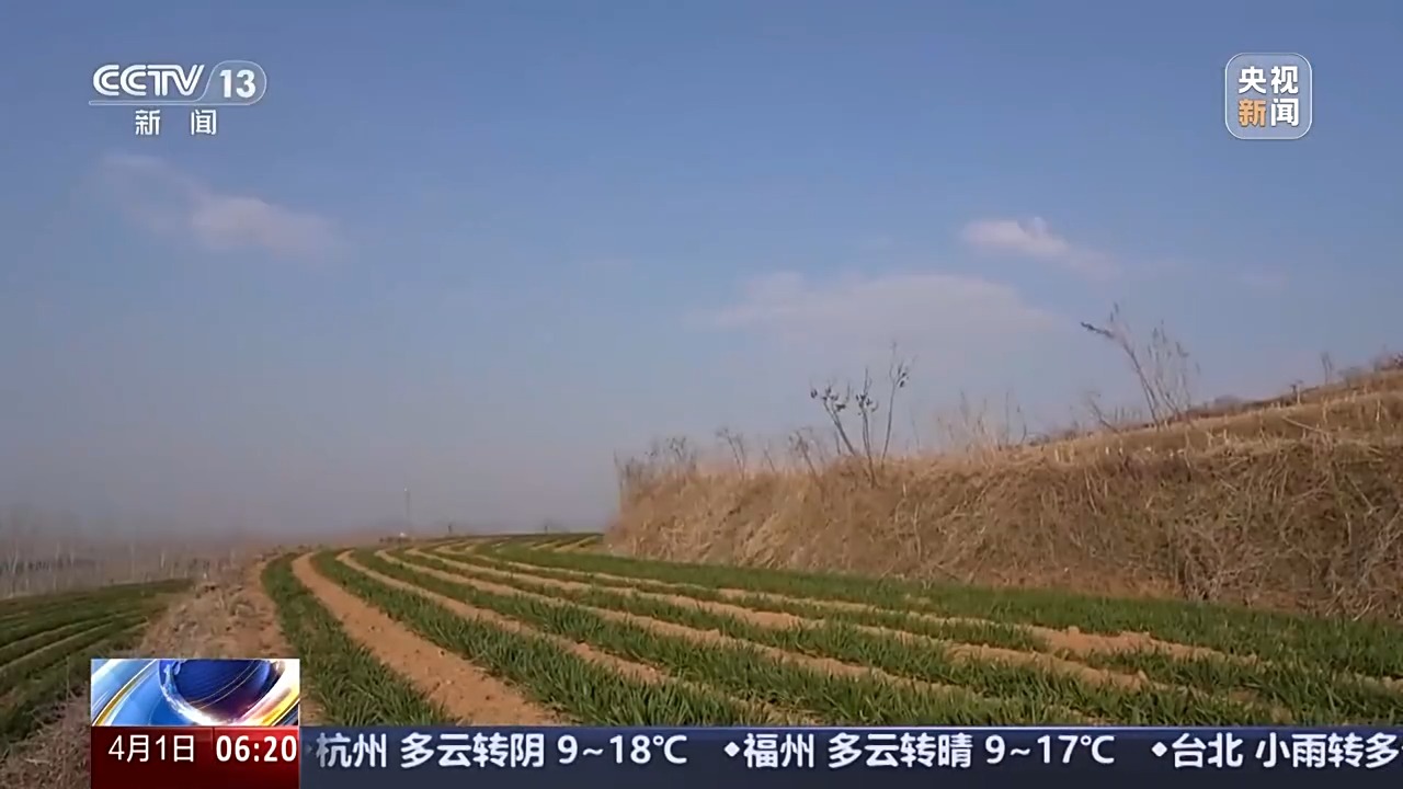 
浙江第二医院黄牛代挂号电话票贩子号贩子网上预约挂号,住院检查加快,丘陵薄地如何提单产？平原沙地怎么多打粮？春耕威海有新招