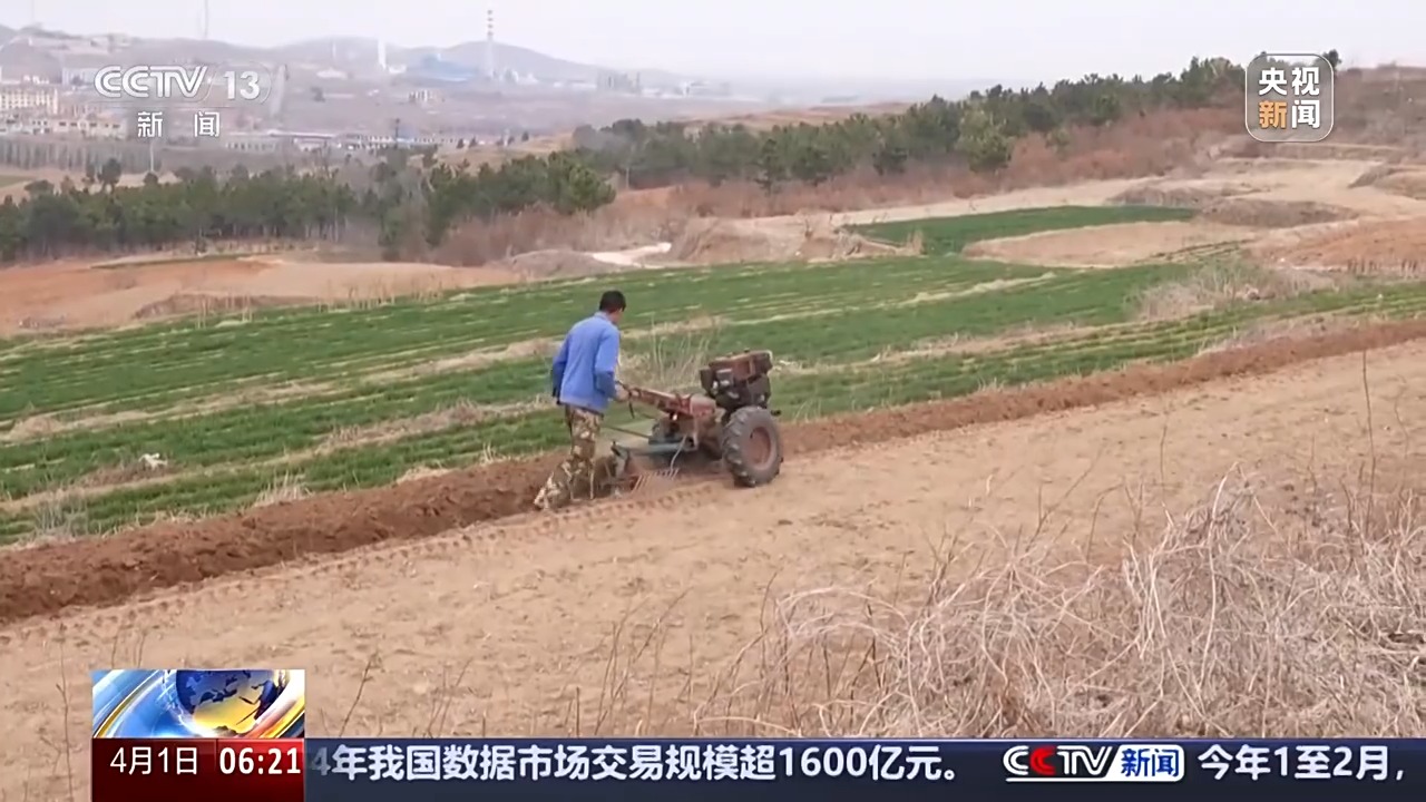 
浙江第二医院黄牛代挂号电话票贩子号贩子网上预约挂号,住院检查加快,丘陵薄地如何提单产？平原沙地怎么多打粮？春耕威海有新招