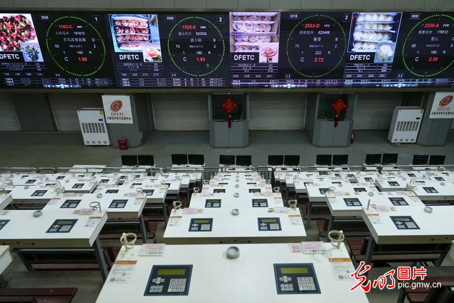 
上海眼耳鼻喉科医院黄牛代挂号电话票贩子号贩子网上预约挂号,住院检查加快,【发现最美铁路】“钢铁花路”护航云花绽放 日均4.5吨鲜切花乘“快车”香溢全球