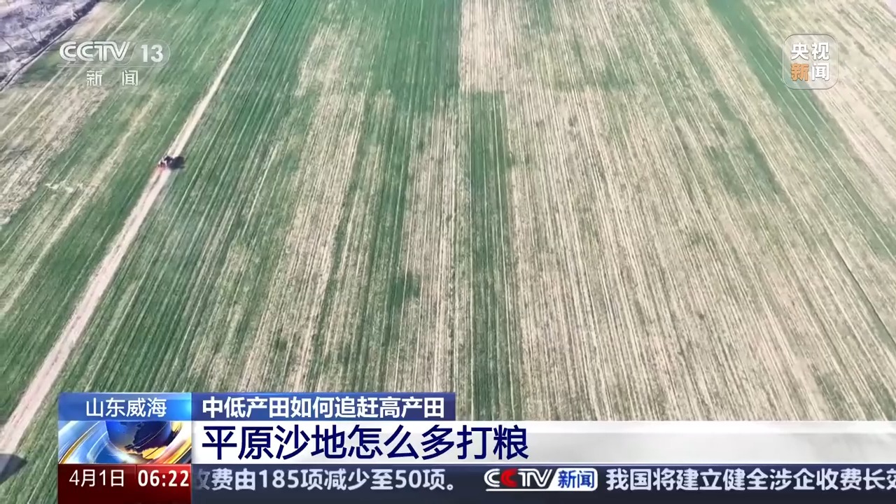 
浙江第二医院黄牛代挂号电话票贩子号贩子网上预约挂号,住院检查加快,丘陵薄地如何提单产？平原沙地怎么多打粮？春耕威海有新招