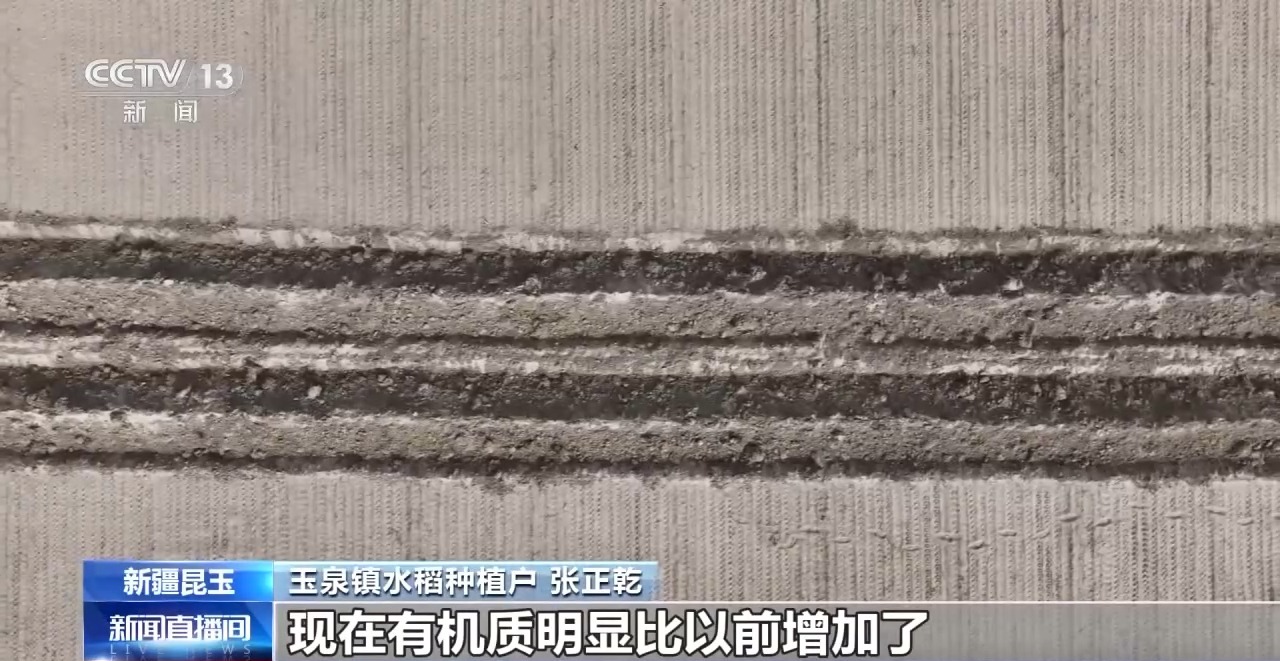 
山东大学齐鲁医院黄牛代挂号电话票贩子号贩子网上预约挂号,住院检查加快,沙漠里也能种水稻？揭秘沙漠旱地播种技术
