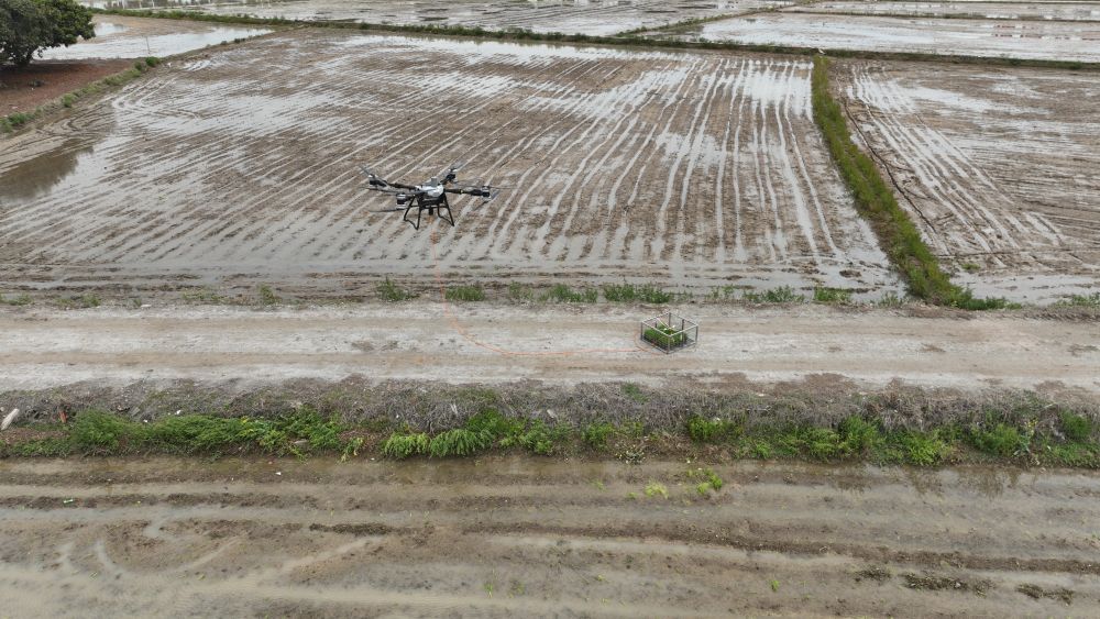
上海各大医院黄牛代挂号电话票贩子号贩子网上预约挂号,住院检查加快,问记者·春耕速度｜1秒钟撒13斤肥料，是如何做到的？