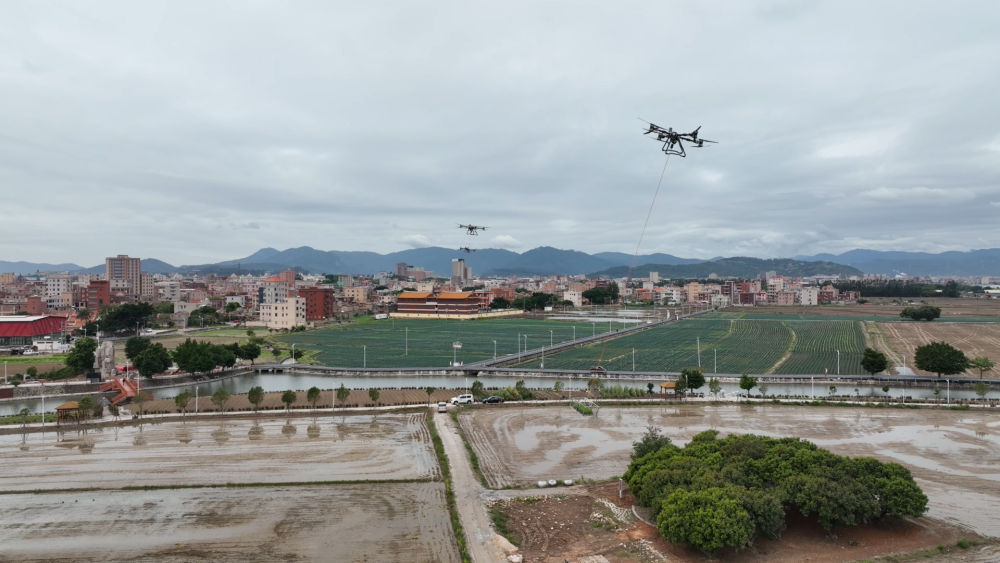 
上海各大医院黄牛代挂号电话票贩子号贩子网上预约挂号,住院检查加快,问记者·春耕速度｜1秒钟撒13斤肥料，是如何做到的？