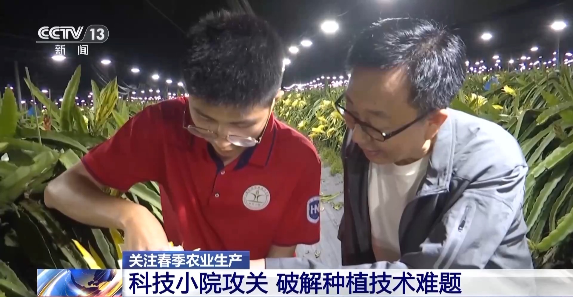 
中山大学附属第一医院黄牛代挂号电话票贩子号贩子网上预约挂号,住院检查加快,打造“田间实验室” 海南科技小院破解热带水果种植难题