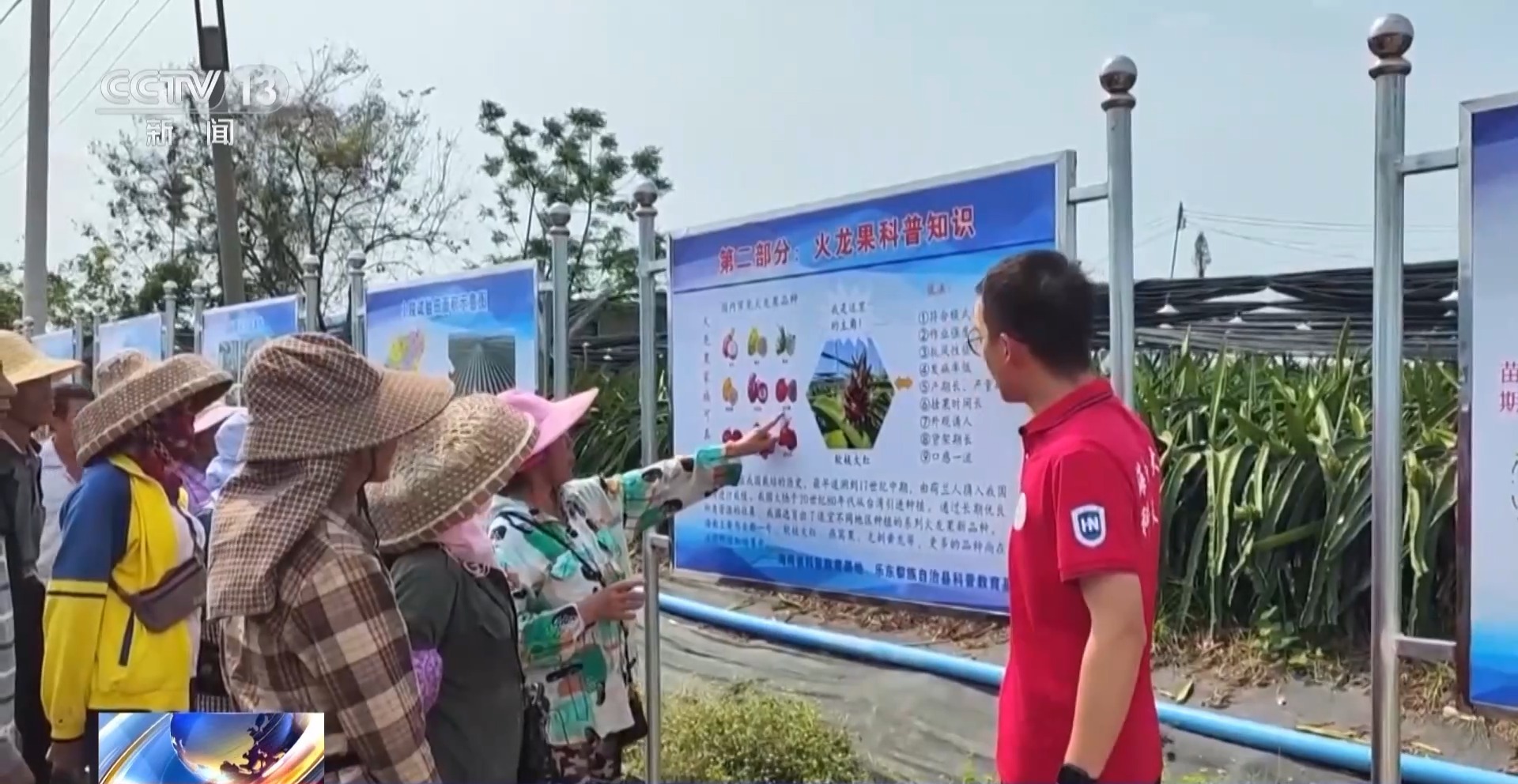 
中山大学附属第一医院黄牛代挂号电话票贩子号贩子网上预约挂号,住院检查加快,打造“田间实验室” 海南科技小院破解热带水果种植难题