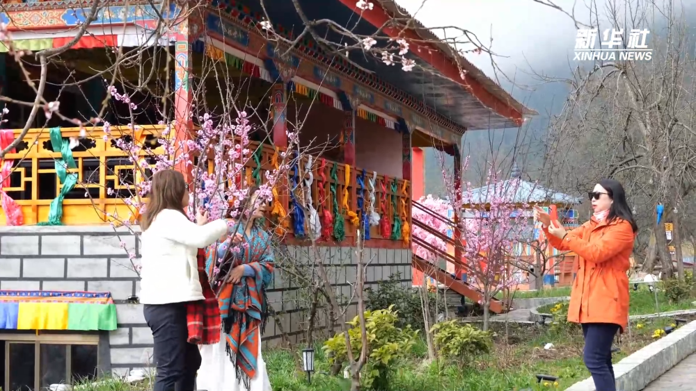 
北京中医院黄牛代挂号电话票贩子号贩子网上预约挂号,住院检查加快,高原“春”来｜生态民宿“致富经”