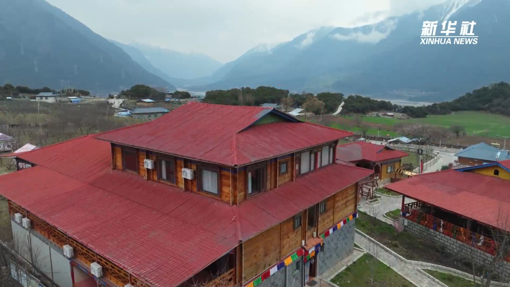 
北京中医院黄牛代挂号电话票贩子号贩子网上预约挂号,住院检查加快,高原“春”来｜生态民宿“致富经”