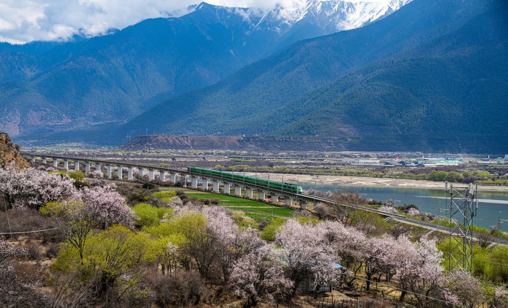 
北大医院黄牛代挂号电话票贩子号贩子网上预约挂号,住院检查加快,文旅新探｜乘坐高原复兴号，寻访藏家桃花香