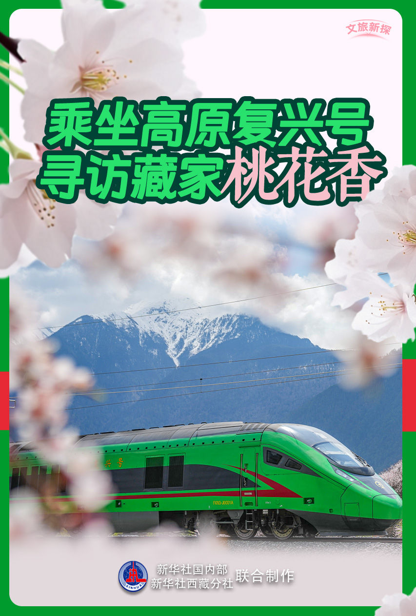 
北大医院黄牛代挂号电话票贩子号贩子网上预约挂号,住院检查加快,文旅新探｜乘坐高原复兴号，寻访藏家桃花香