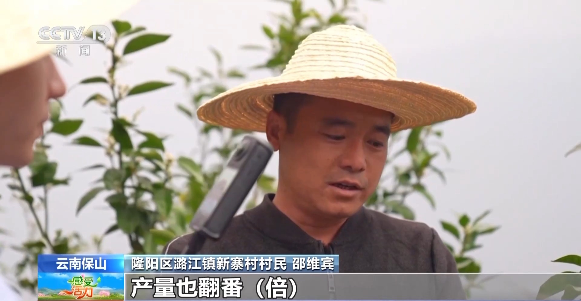 
首都医科大学附属阜外医院黄牛代挂号电话票贩子号贩子网上预约挂号,住院检查加快,感受活力丨好喝好玩好美！总台主播来到云南 见了一位“大咖”……