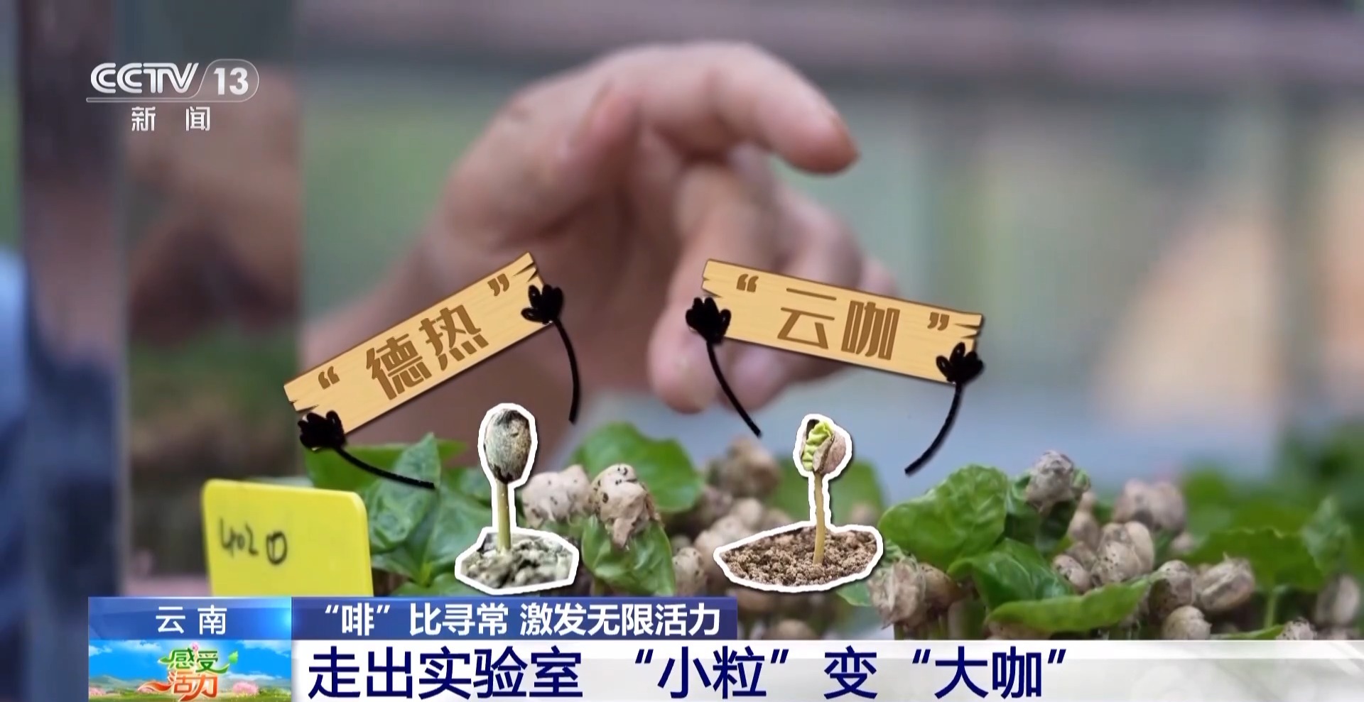 
首都医科大学附属阜外医院黄牛代挂号电话票贩子号贩子网上预约挂号,住院检查加快,感受活力丨好喝好玩好美！总台主播来到云南 见了一位“大咖”……