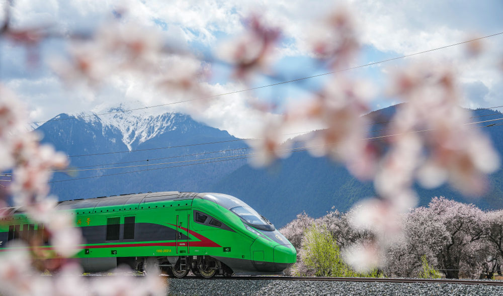 
北大医院黄牛代挂号电话票贩子号贩子网上预约挂号,住院检查加快,文旅新探｜乘坐高原复兴号，寻访藏家桃花香