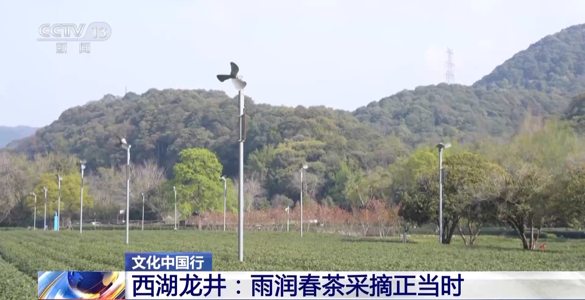 
北京广安门中医院黄牛代挂号电话票贩子号贩子网上预约挂号,住院检查加快,文化中国行丨西湖龙井核心产区迎来采摘高峰期 来品尝春天的一口“鲜”
