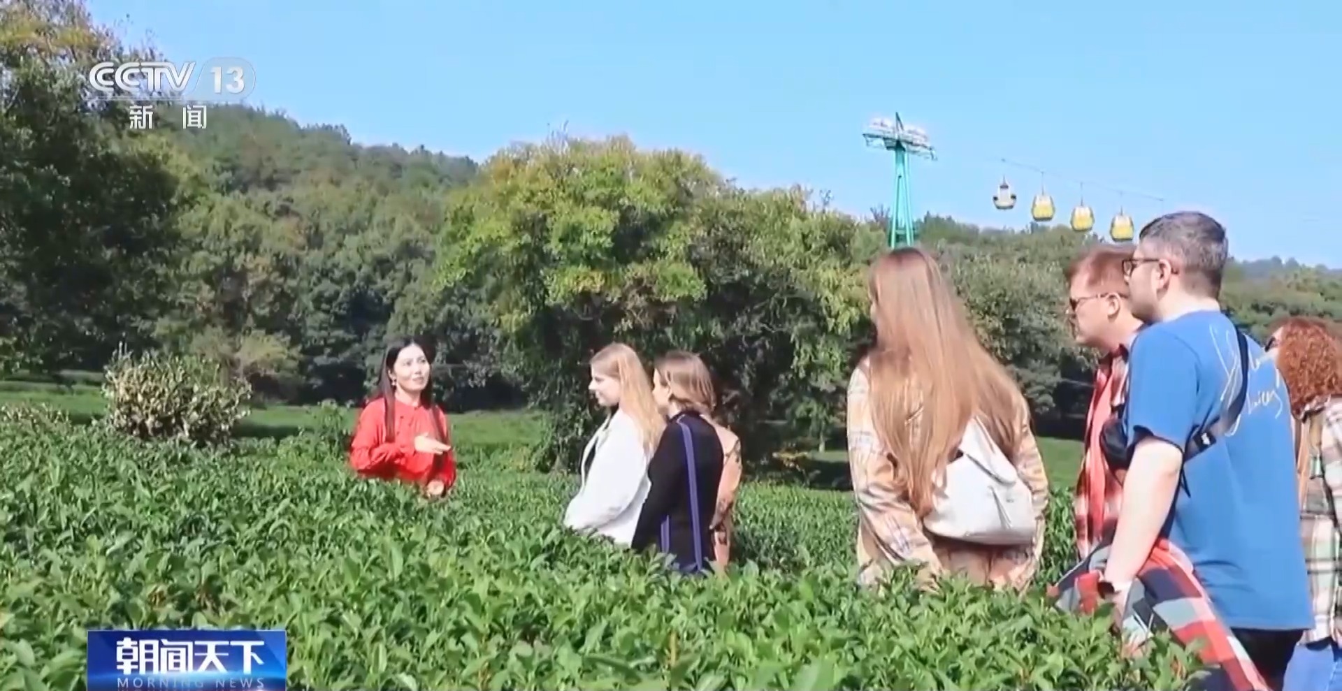 
北京广安门中医院黄牛代挂号电话票贩子号贩子网上预约挂号,住院检查加快,文化中国行丨西湖龙井核心产区迎来采摘高峰期 来品尝春天的一口“鲜”