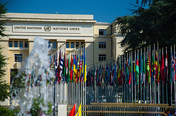 
杭州各大医院黄牛代挂号电话票贩子号贩子网上预约挂号,住院检查加快,资金短缺 联合国将裁减两成人道主义事务员工