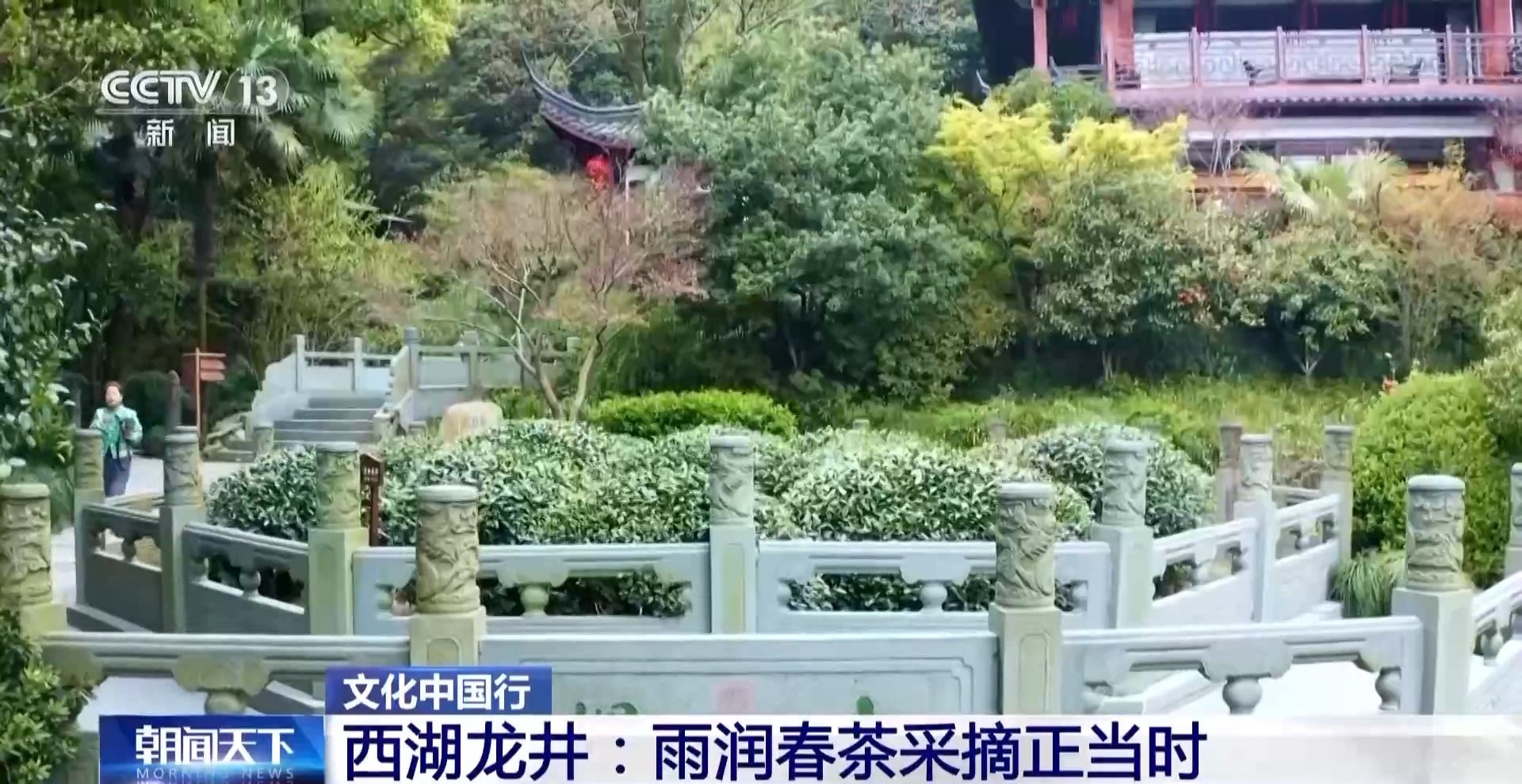 
北京广安门中医院黄牛代挂号电话票贩子号贩子网上预约挂号,住院检查加快,文化中国行丨西湖龙井核心产区迎来采摘高峰期 来品尝春天的一口“鲜”