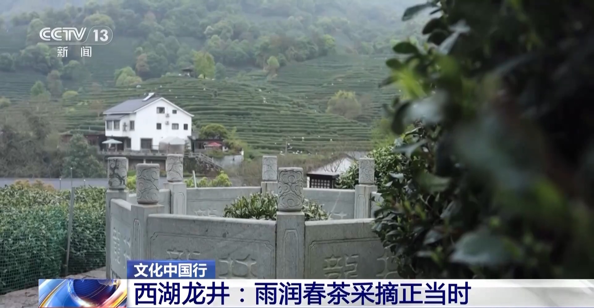
北京广安门中医院黄牛代挂号电话票贩子号贩子网上预约挂号,住院检查加快,文化中国行丨西湖龙井核心产区迎来采摘高峰期 来品尝春天的一口“鲜”