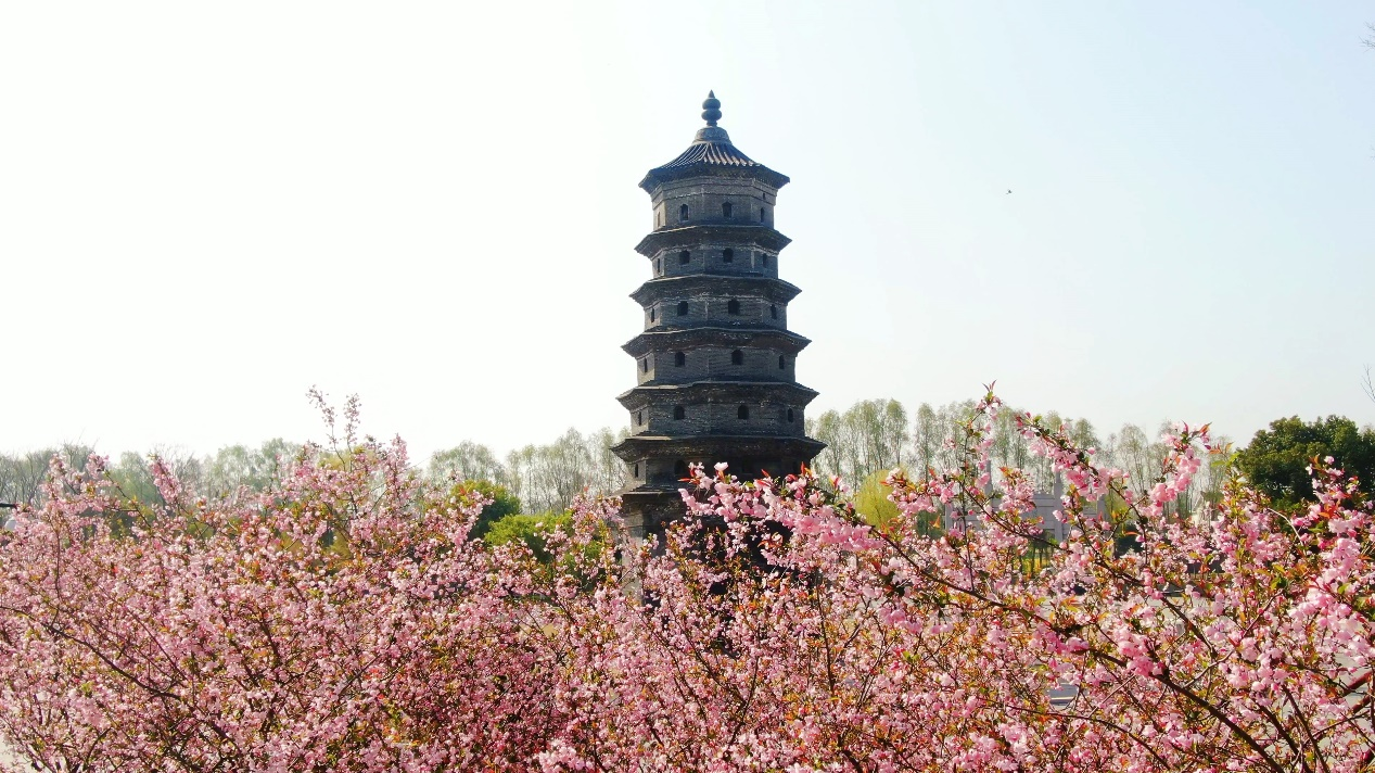 
西安市儿童医院黄牛代挂号电话票贩子号贩子网上预约挂号,住院检查加快,文化中国行·春花古建两相宜｜海棠拥古塔，代“盐”千载风华
