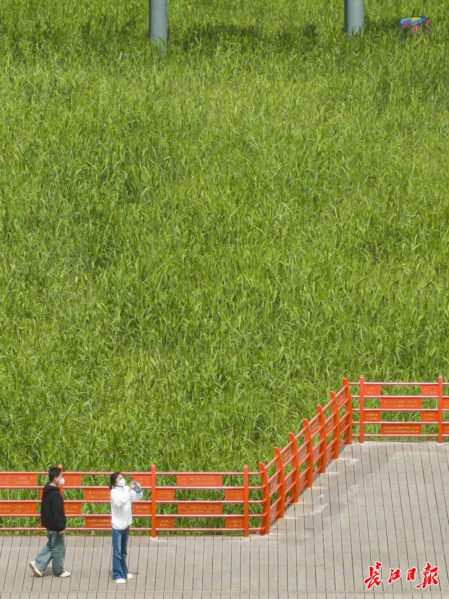 
浙江口腔医院黄牛代挂号电话票贩子号贩子网上预约挂号,住院检查加快,牢记嘱托 建成支点︱漫江画卷入城来