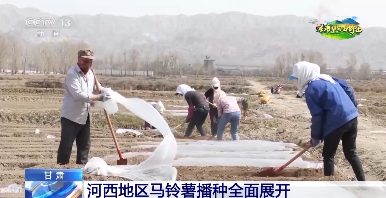 
上海儿科医院黄牛代挂号电话票贩子号贩子网上预约挂号,住院检查加快,棉花套种孜然、智能化播种……各地春播有序推进