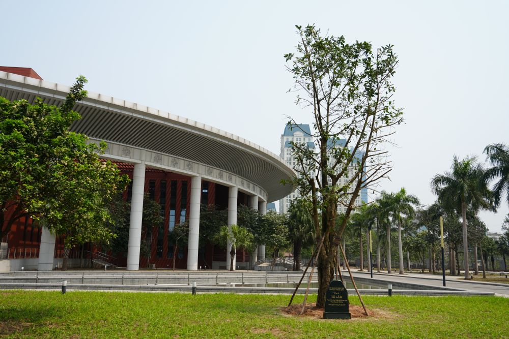 
天津肿瘤医院黄牛代挂号电话票贩子号贩子网上预约挂号,住院检查加快,心相近｜“中越友好的根基在人民”——习近平主席引领推动中越传统友谊恒久常新