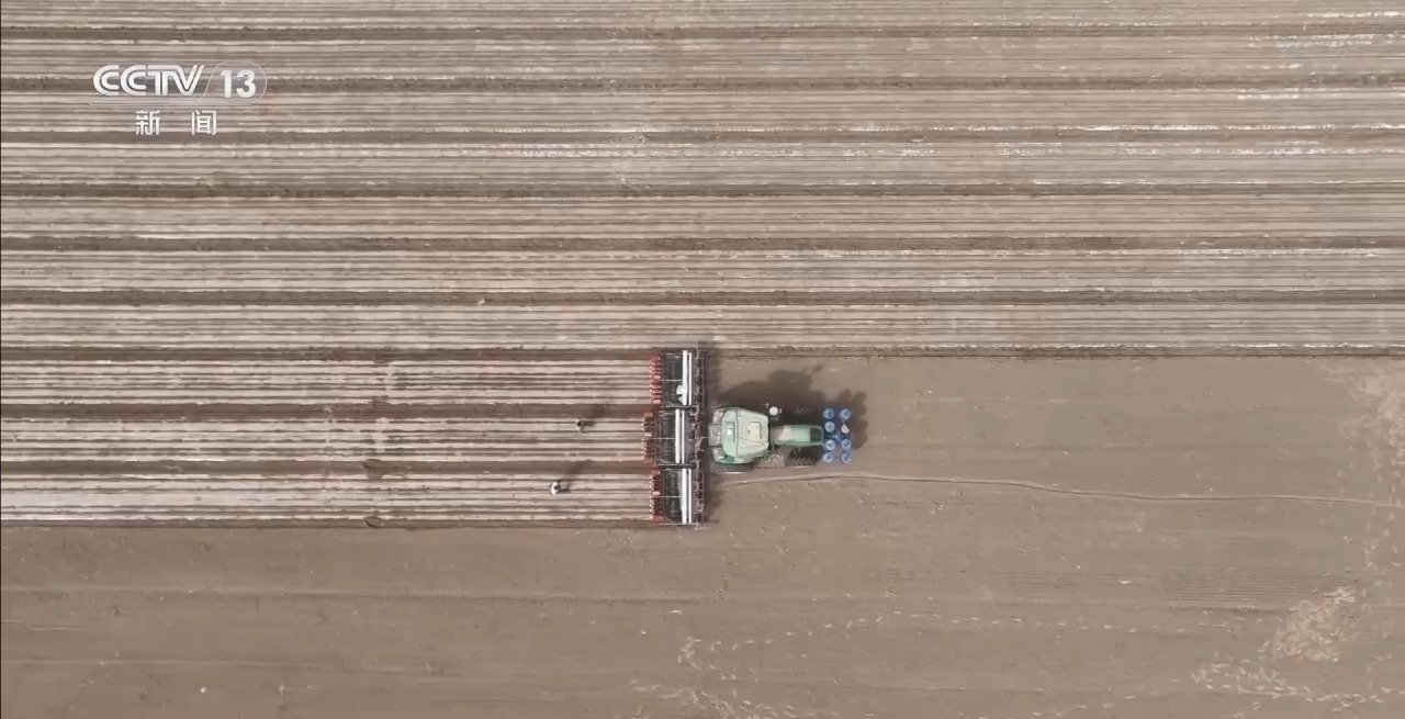 
上海儿科医院黄牛代挂号电话票贩子号贩子网上预约挂号,住院检查加快,棉花套种孜然、智能化播种……各地春播有序推进