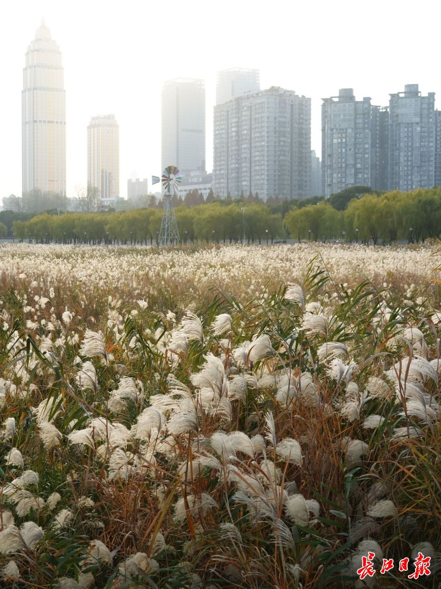 
浙江口腔医院黄牛代挂号电话票贩子号贩子网上预约挂号,住院检查加快,牢记嘱托 建成支点︱漫江画卷入城来
