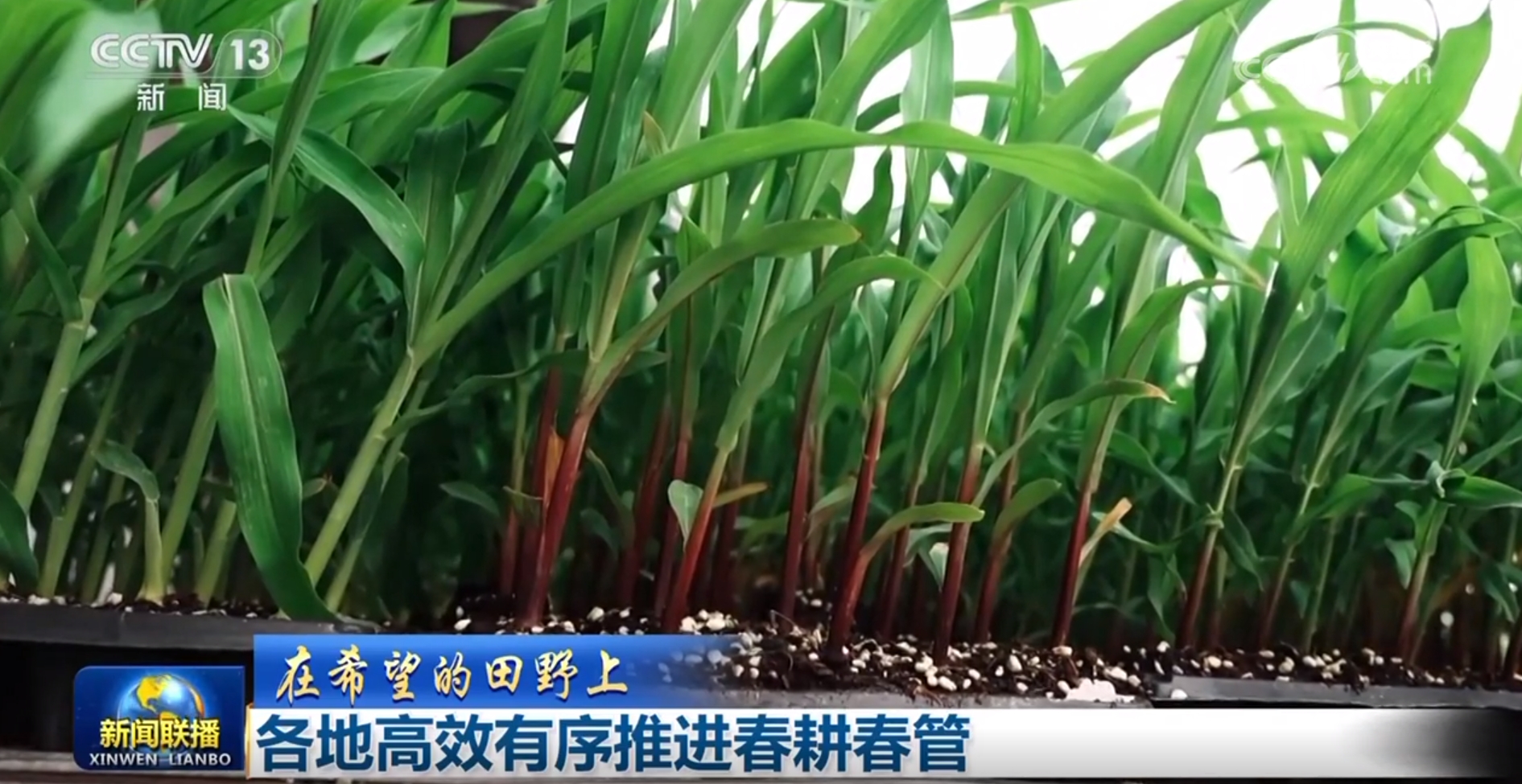 
浙江省中医院黄牛代挂号电话票贩子号贩子网上预约挂号,住院检查加快,【在希望的田野上】各地高效有序推进春耕春管