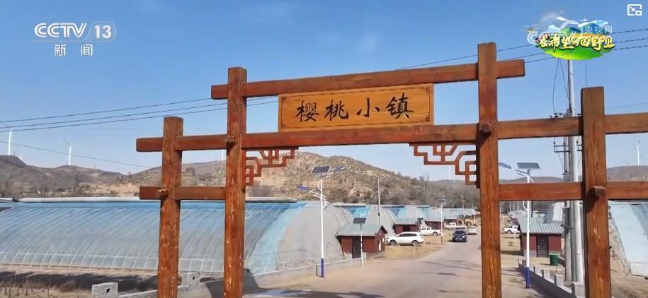 
北京大学第三医院黄牛代挂号电话票贩子号贩子网上预约挂号,住院检查加快,特色农业产销两旺 科技赋能乡村振兴
