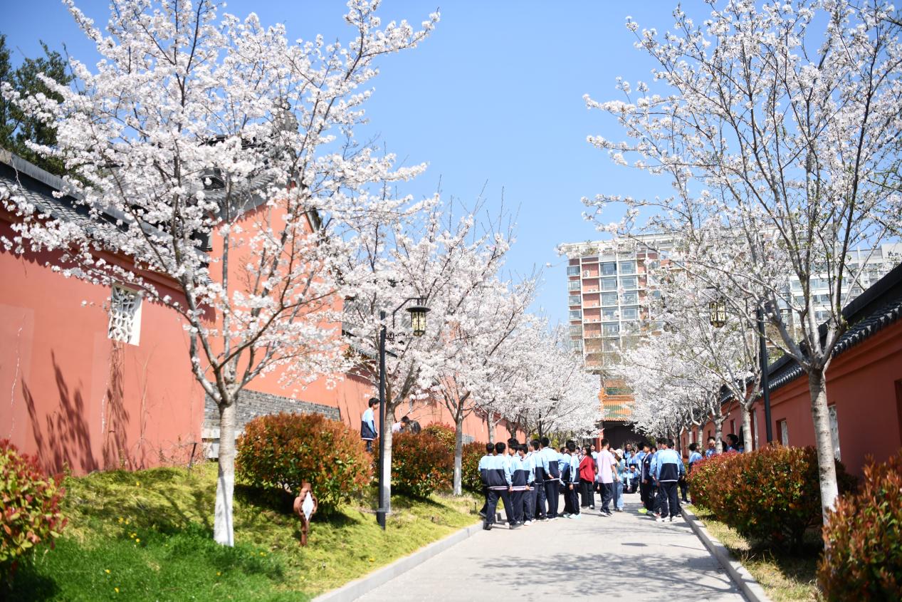 
南京市中医院黄牛代挂号电话票贩子号贩子网上预约挂号,住院检查加快,文化中国行｜春花古建两相宜·书声琅琅处，百年孔庙展芳华