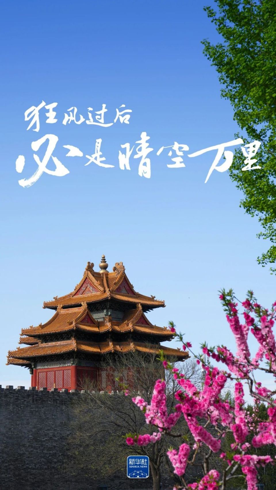 
北京协和医院黄牛代挂号电话票贩子号贩子网上预约挂号,住院检查加快,狂风过后，必是晴空万里！