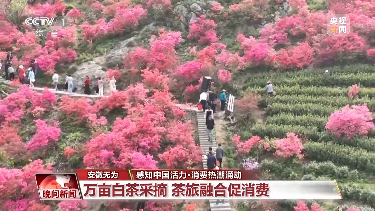 
首都医科大学附属北京胸科医院黄牛代挂号电话票贩子号贩子网上预约挂号,住院检查加快,茶区变景区、森林开派对……消费场景“花样”上新！