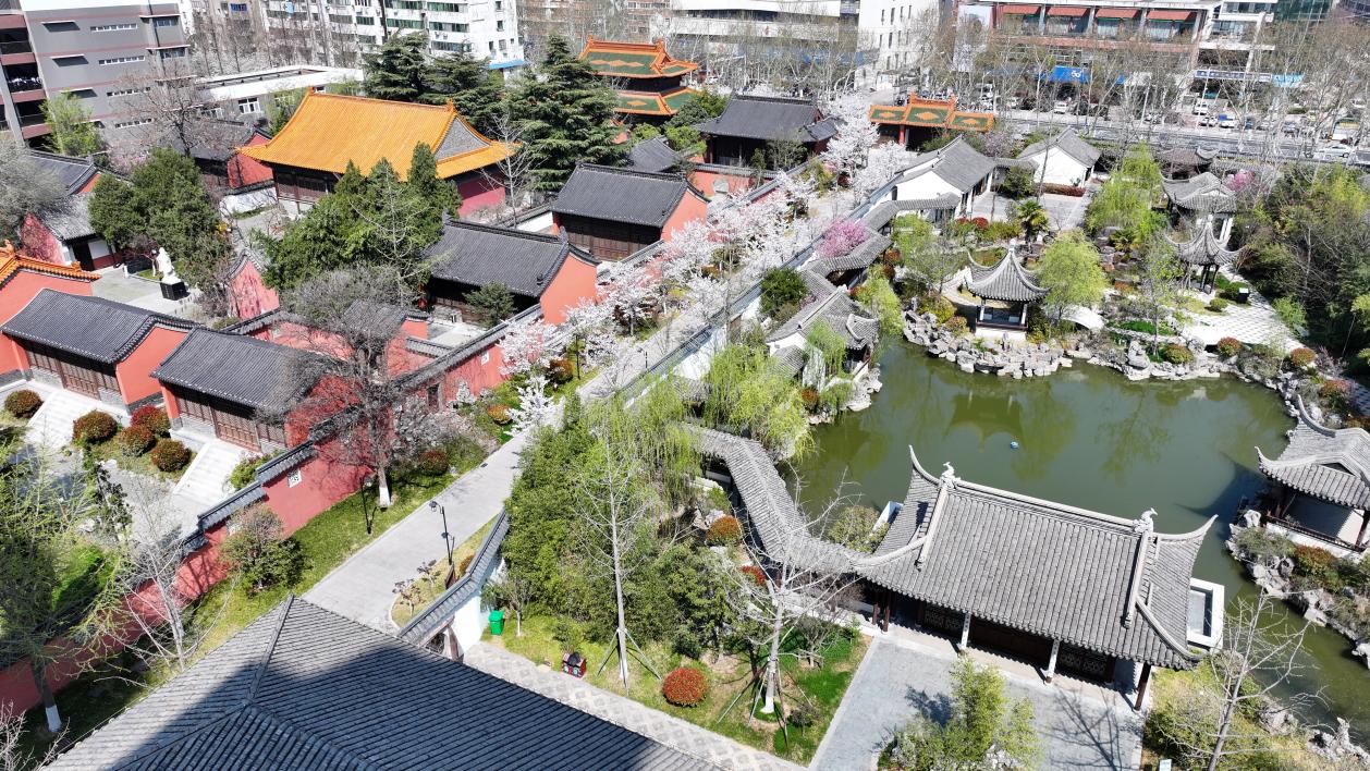 
南京市中医院黄牛代挂号电话票贩子号贩子网上预约挂号,住院检查加快,文化中国行｜春花古建两相宜·书声琅琅处，百年孔庙展芳华