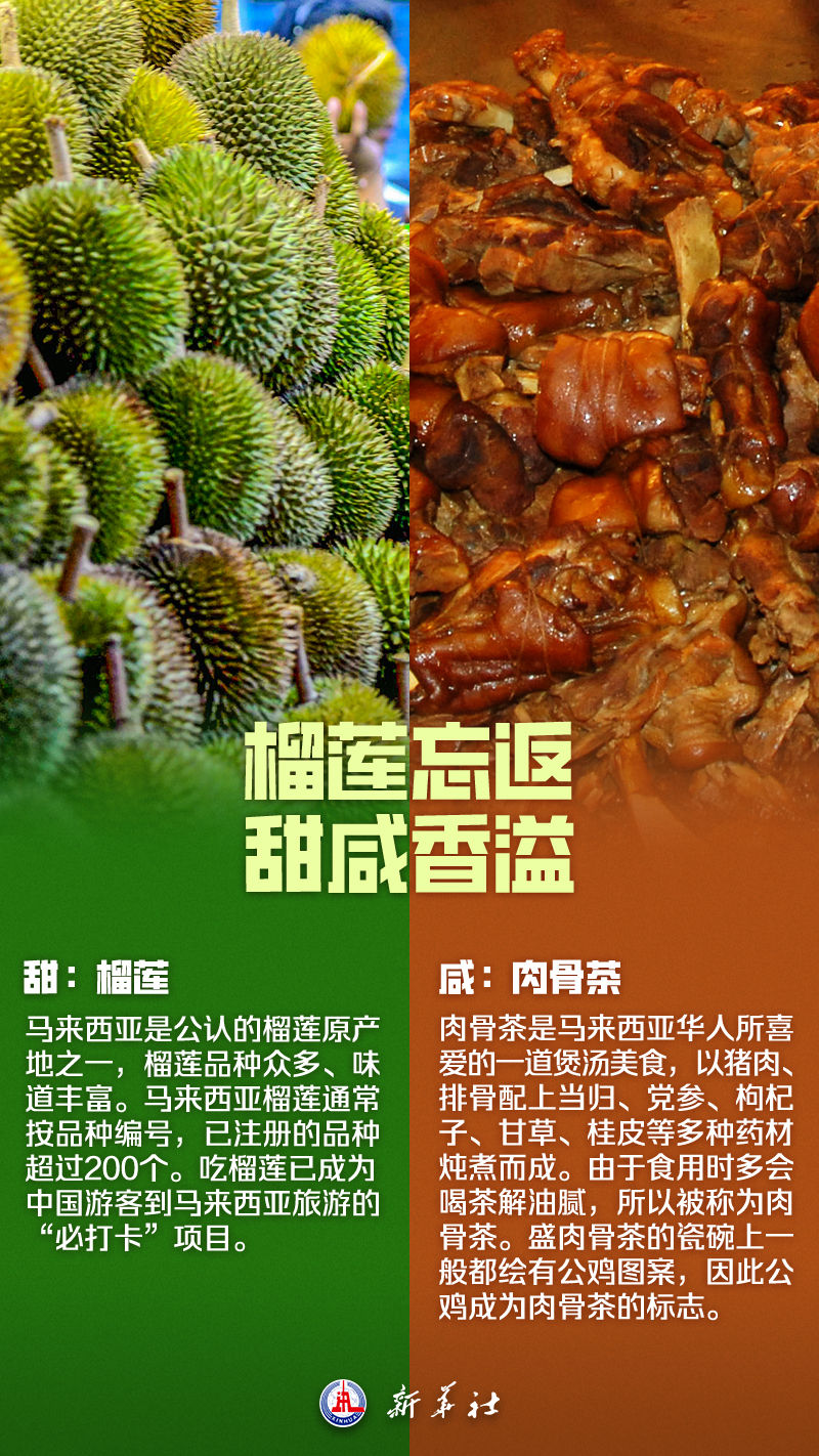 
杭州中医院黄牛代挂号电话票贩子号贩子网上预约挂号,住院检查加快,海报丨这，就是马来西亚！