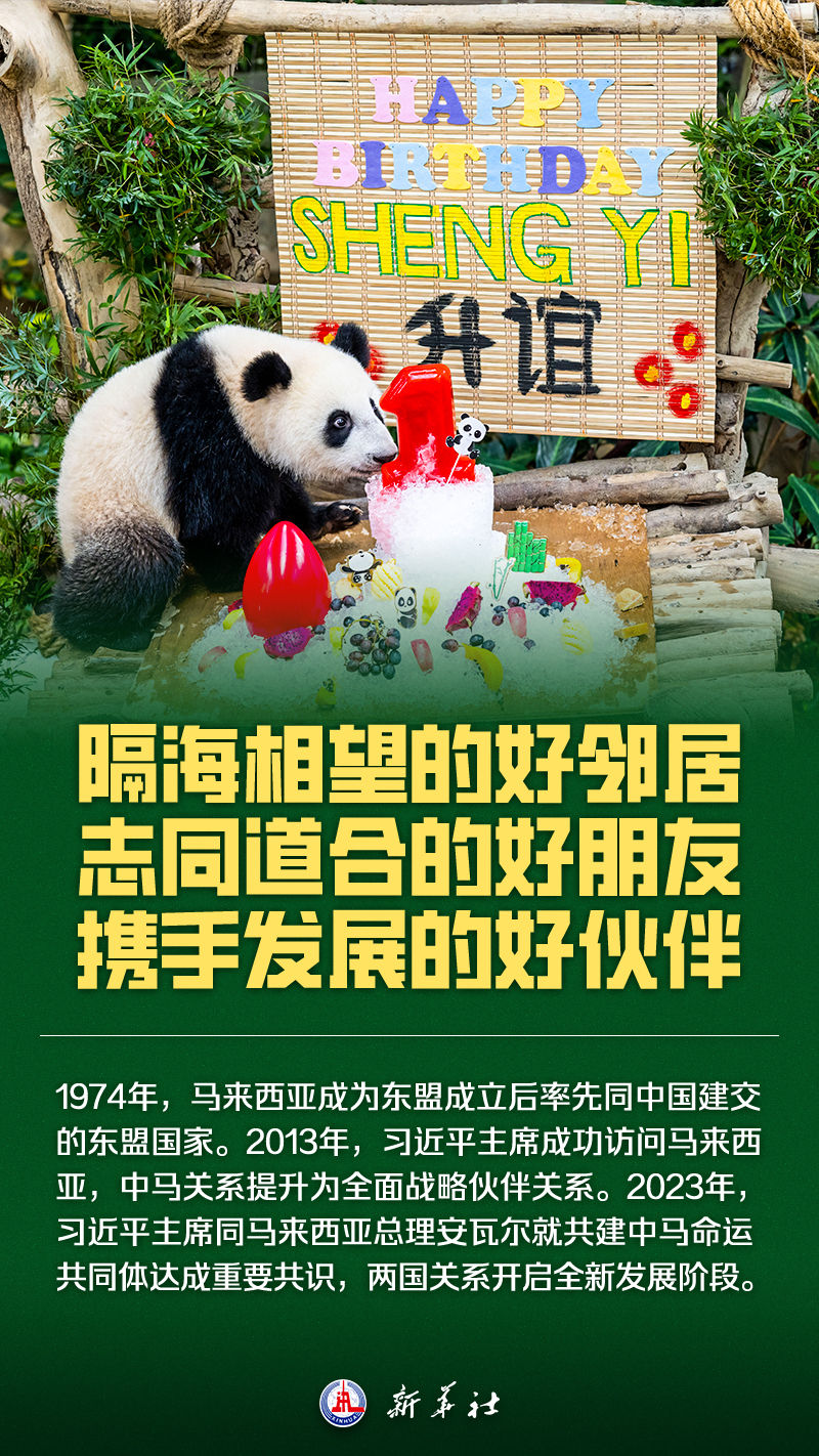 
杭州中医院黄牛代挂号电话票贩子号贩子网上预约挂号,住院检查加快,海报丨这，就是马来西亚！