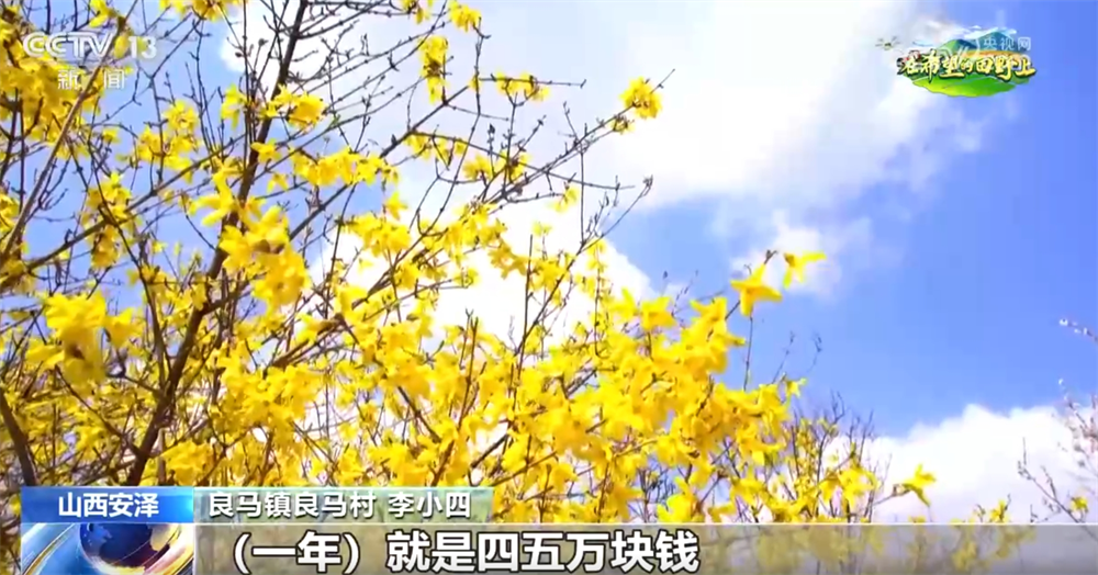 
首都医科大学附属安贞医院黄牛代挂号电话票贩子号贩子网上预约挂号,住院检查加快,从“赏花1.0”到“产业2.0” 特色产业“以花为媒”绘就乡村振兴新画卷