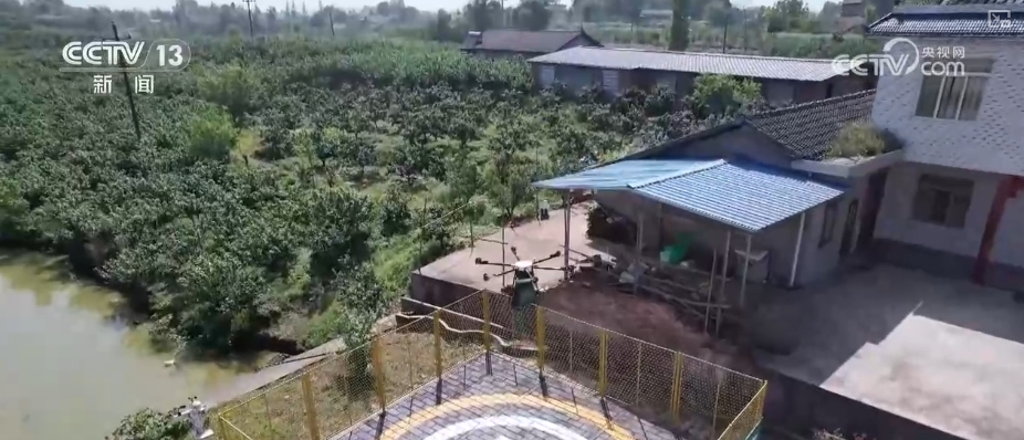 
浙江大学妇产科医院黄牛代挂号电话票贩子号贩子网上预约挂号,住院检查加快,“空—天—地”一体服务激活发展“新”动力 乡村振兴“金钥匙”科技含量更足