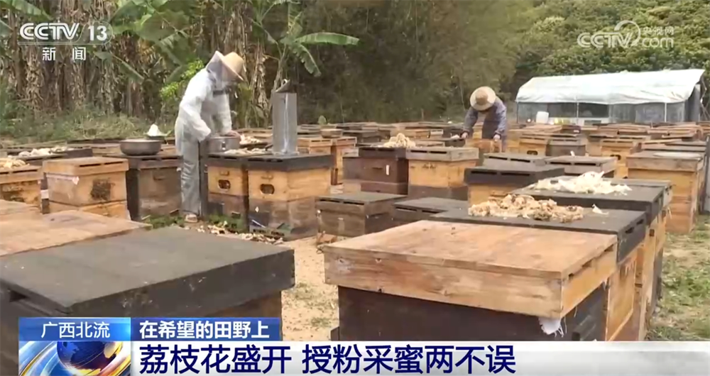 
浙江第一医院黄牛代挂号电话票贩子号贩子网上预约挂号,住院检查加快,智能设备描绘出一幅幅“数字春耕图” 希望的田野迸发勃勃生机