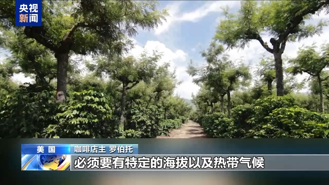 
中山大学附属第一医院黄牛代挂号电话票贩子号贩子网上预约挂号,住院检查加快,咖啡难自给自足 美滥施关税重压本国小企业