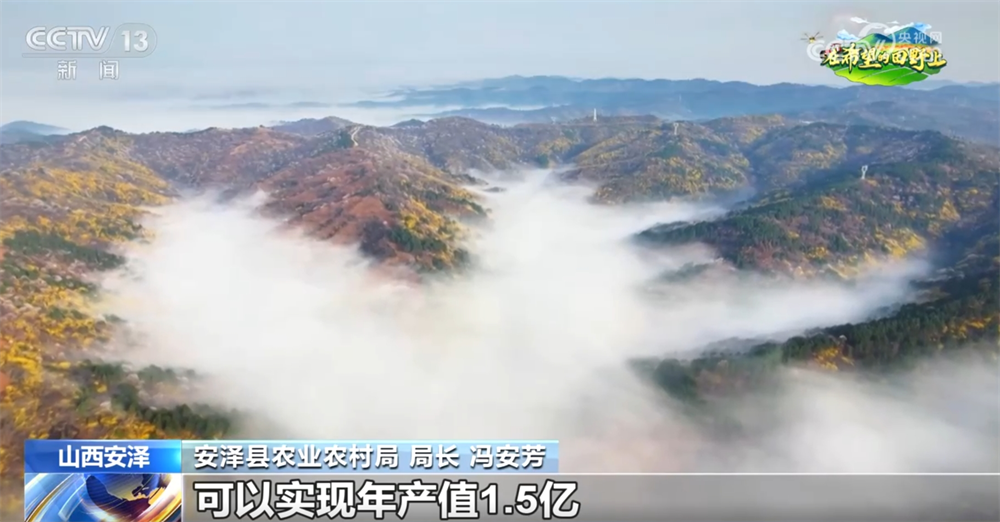 
首都医科大学附属安贞医院黄牛代挂号电话票贩子号贩子网上预约挂号,住院检查加快,从“赏花1.0”到“产业2.0” 特色产业“以花为媒”绘就乡村振兴新画卷