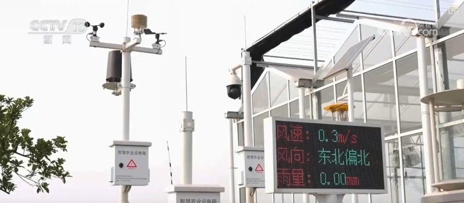 
浙江大学妇产科医院黄牛代挂号电话票贩子号贩子网上预约挂号,住院检查加快,“空—天—地”一体服务激活发展“新”动力 乡村振兴“金钥匙”科技含量更足