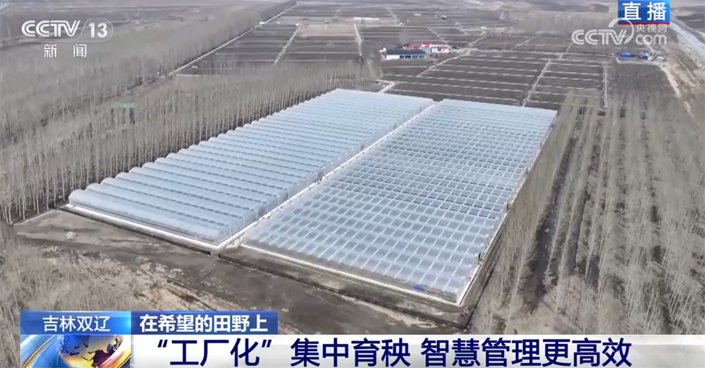 
浙江第一医院黄牛代挂号电话票贩子号贩子网上预约挂号,住院检查加快,智能设备描绘出一幅幅“数字春耕图” 希望的田野迸发勃勃生机