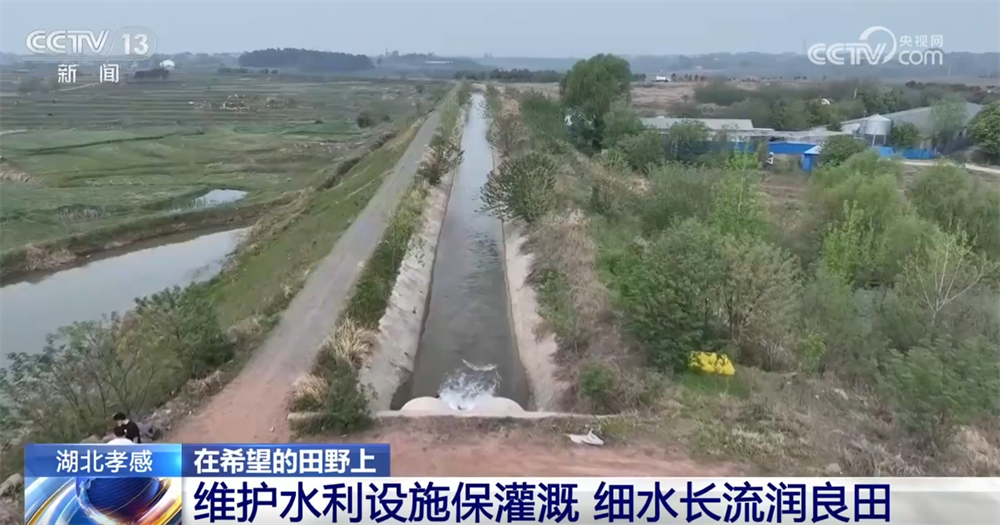 
浙江第一医院黄牛代挂号电话票贩子号贩子网上预约挂号,住院检查加快,智能设备描绘出一幅幅“数字春耕图” 希望的田野迸发勃勃生机