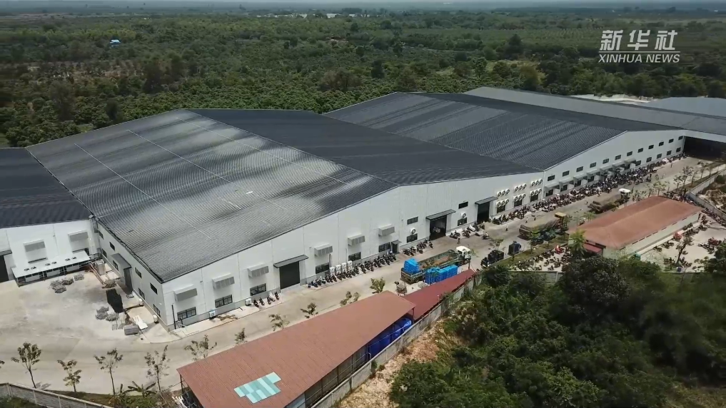 
重庆儿童医院黄牛代挂号电话票贩子号贩子网上预约挂号,住院检查加快,一颗柬埔寨芒果的致富路