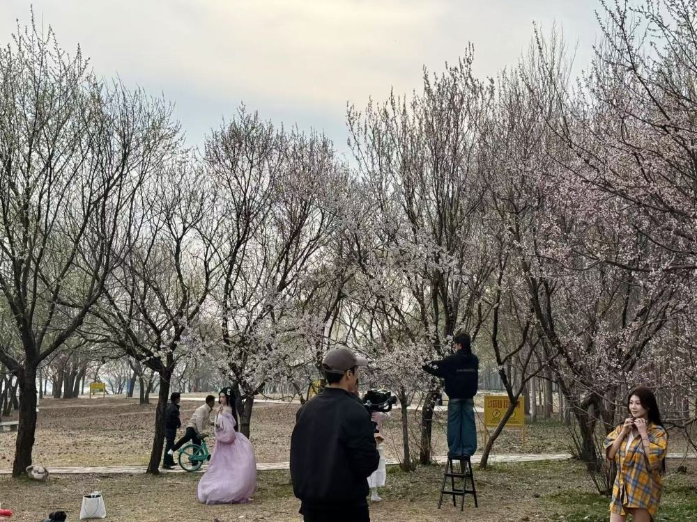 
沈阳各大医院黄牛代挂号电话票贩子号贩子网上预约挂号,住院检查加快,“花样经济”何以动人心？