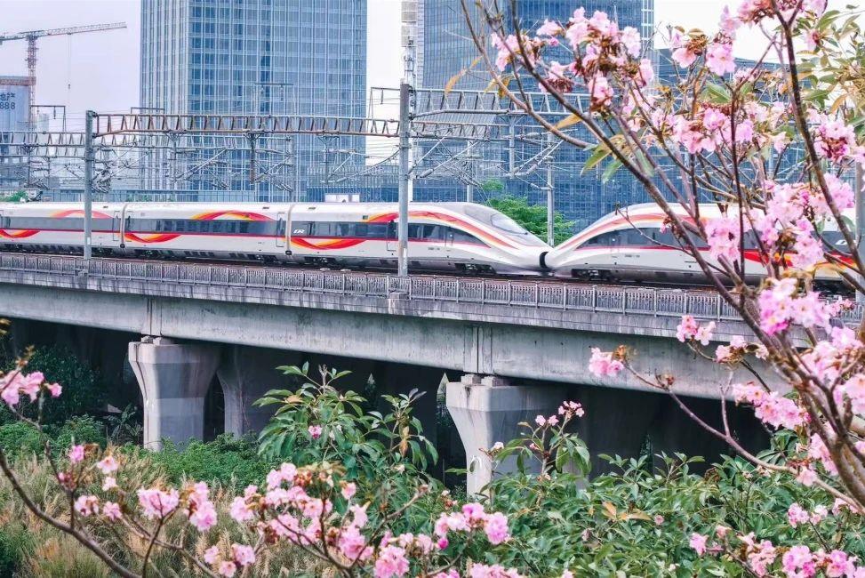 
上海第十人民医院黄牛代挂号电话票贩子号贩子网上预约挂号,住院检查加快,创历史同期新高 一季度全国铁路发送旅客超10亿人次