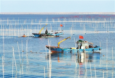 
南京市中西医结合医院黄牛号贩子挂号电话“海上菜园”致富经