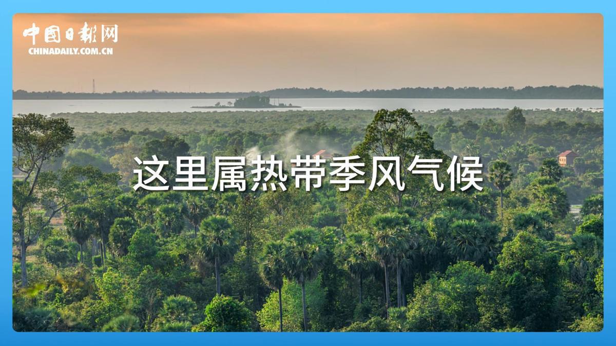 
广州口腔医院黄牛代挂号电话票贩子号贩子网上预约挂号,住院检查加快,跟着习主席看世界 | 走进柬埔寨：首个同中国签署命运共同体行动计划的国家