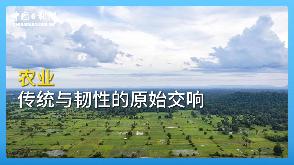 
广州口腔医院黄牛代挂号电话票贩子号贩子网上预约挂号,住院检查加快,跟着习主席看世界 | 走进柬埔寨：首个同中国签署命运共同体行动计划的国家