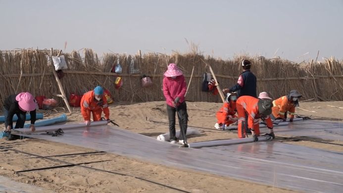 
中国中医科学院望京医院黄牛代挂号电话票贩子号贩子网上预约挂号,住院检查加快,新疆为塔克拉玛干沙漠“扩边”增绿 持续巩固“锁边”成果